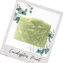 Load image into Gallery viewer, Eucalyptus Mint Soap
