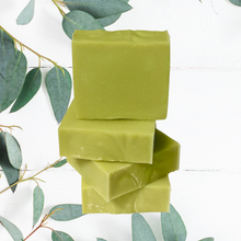 Load image into Gallery viewer, Eucalyptus Mint Soap
